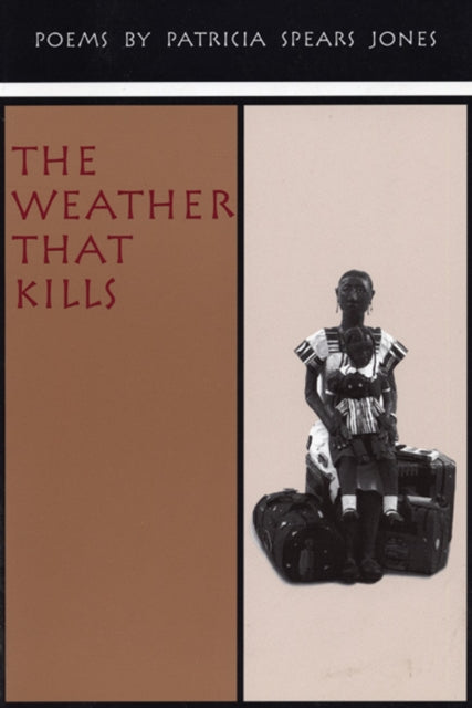 Book cover of: Weather That Kills