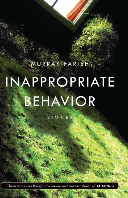 Book cover of: Inappropriate Behavior. By: Murray Farish