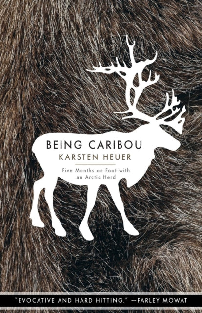 Book cover of: Being Caribou. By: Karsten Heuer