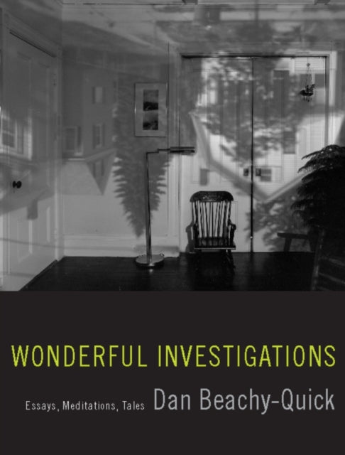 Book cover of: Wonderful Investigations. By: Dan Beachy-Quick