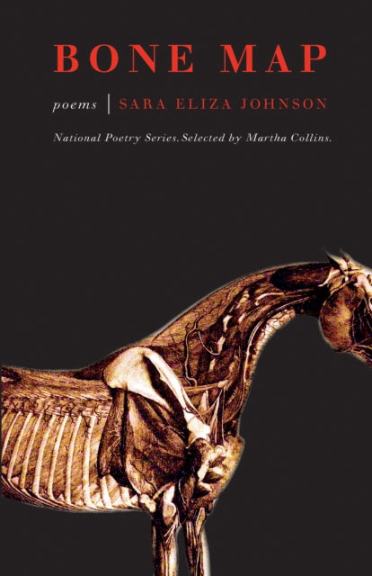 Book cover of: Bone Map. By: Sara Eliza Johnson