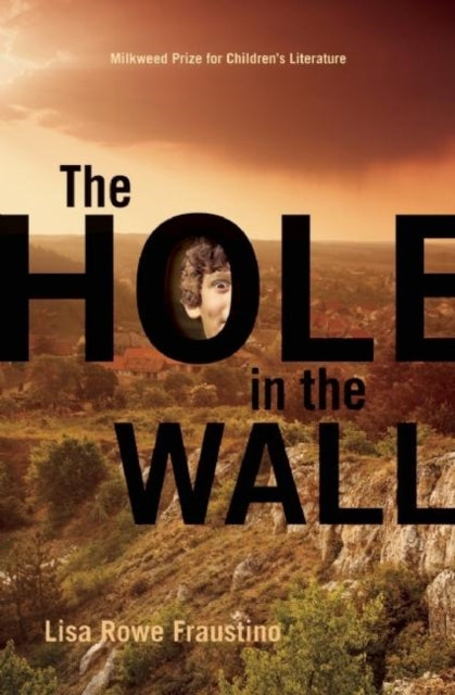 Book cover of: Hole in the Wall. By: Lisa Rowe Fraustino
