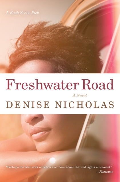 Book cover of: Freshwater Road. By: Denise Nicholas