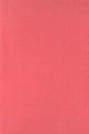 Book cover of: Morphology and the Web of Grammar