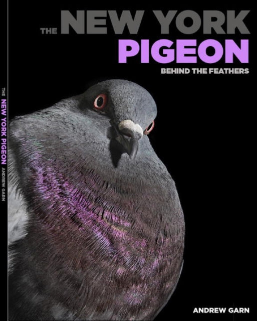 Book cover of: New York Pigeon. By: Andrew Garn