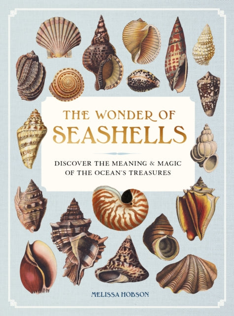 Book cover of: Wonder of Seashells