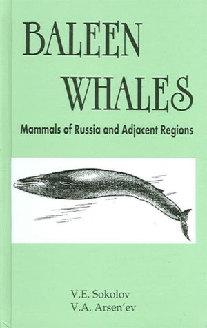 Baleen Whales