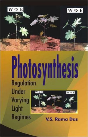 Photosynthesis