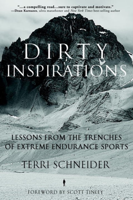 Book cover of: Dirty Inspirations. By: Terri Schneider