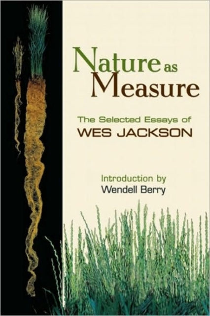 Nature as Measure