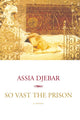 Book cover of: So Vast The Prison
