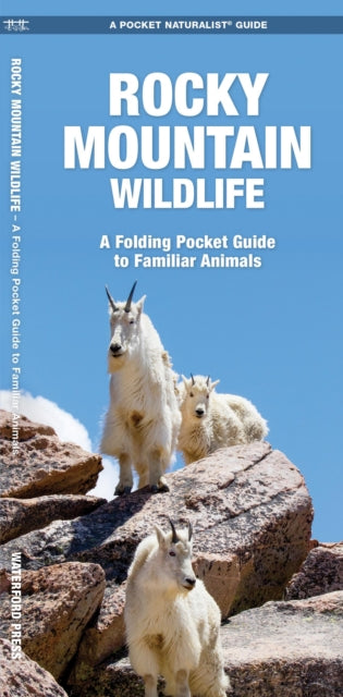 Rocky Mountain Wildlife