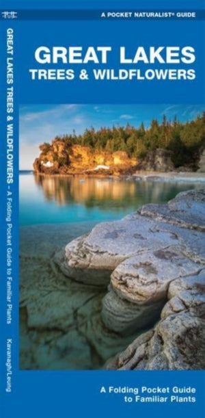 Great Lakes Trees & Wildflowers