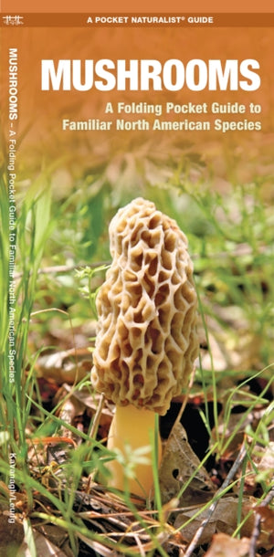 Mushrooms
