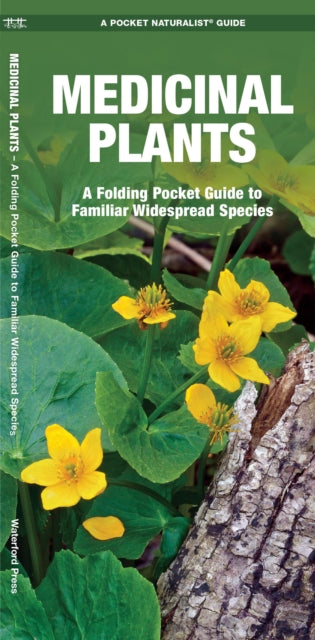Book cover of: Medicinal Plants. By: James Kavanagh