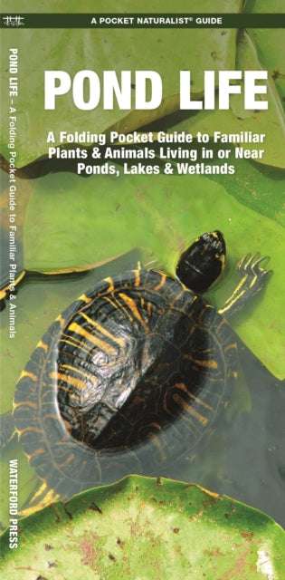 Book cover of: Pond Life. By: James Kavanagh
