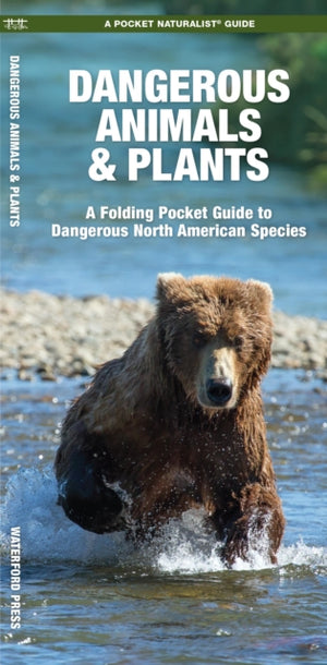 Dangerous Animals & Plants