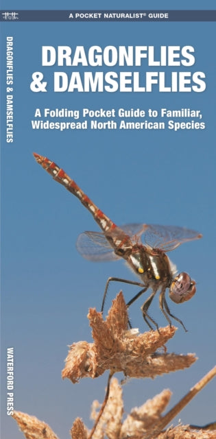 Book cover of: Dragonflies & Damselflies
