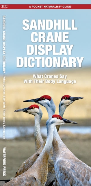Book cover of: Sandhill Crane Display Dictionary
