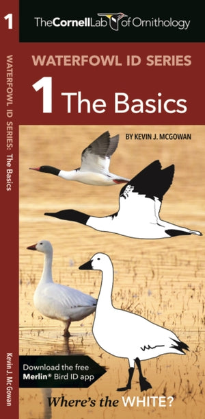Cornell Lab of Ornithology Waterfowl ID 1 The Basics