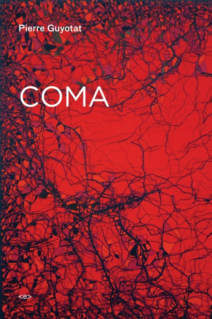 Book cover of: Coma. By: Pierre Guyotat