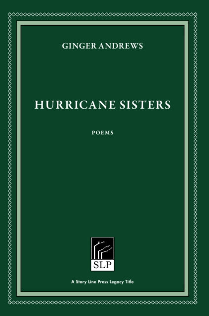 Book cover of: Hurricane Sisters. By: Ginger Andrews