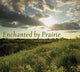 Book cover of: Enchanted by Prairie. By: Bill Witt