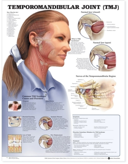 Temporomandibulaarliigese (TMJ) anatoomiline diagramm