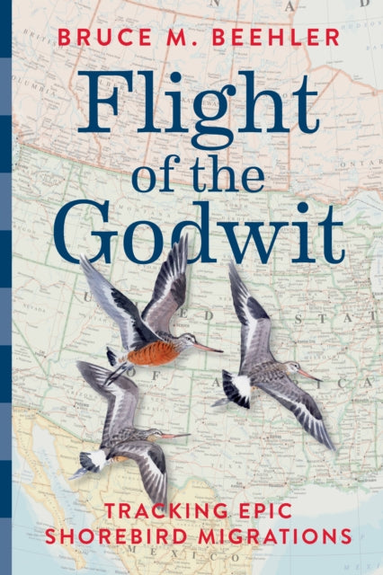 Flight of the Godwit, Tracking Epic Shorebird Migrations 9781588347879 Bruce M. Beehler