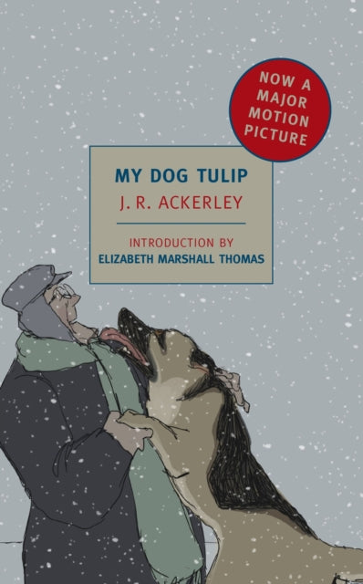 Book cover of: My Dog Tulip