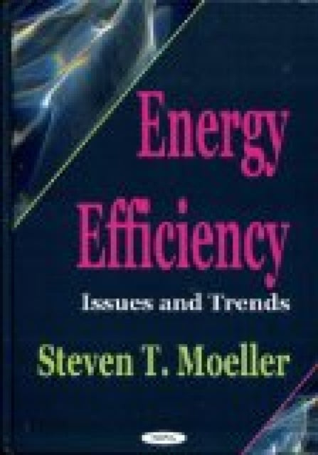 Book cover of: Energy Efficiency. By: Steven T. Moeller
