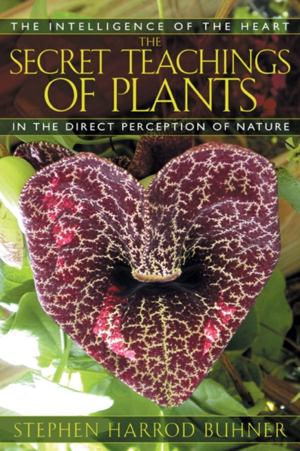 Book cover of: Secret Teachings of Plants. By: Stephen Harrod Buhner