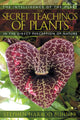 Book cover of: Secret Teachings of Plants. By: Stephen Harrod Buhner