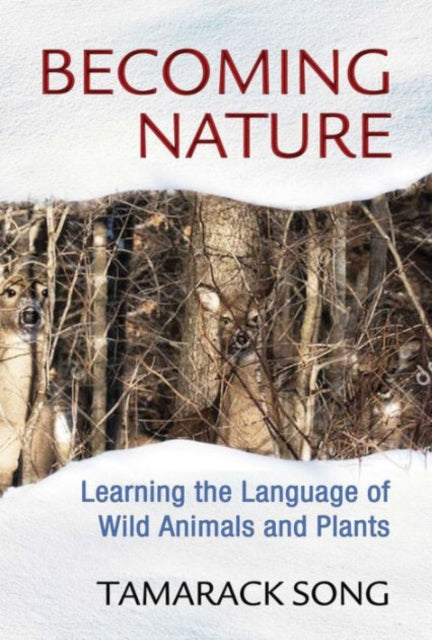 Book cover of: Becoming Nature. By: Tamarack Song