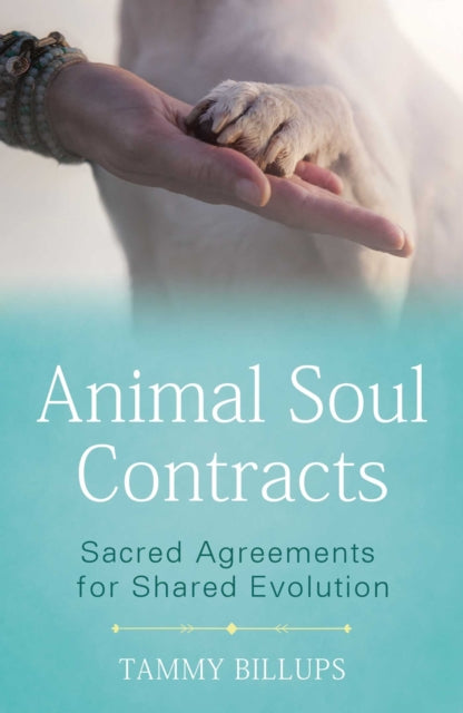 Book cover of: Animal Soul Contracts. By: Tammy Billups