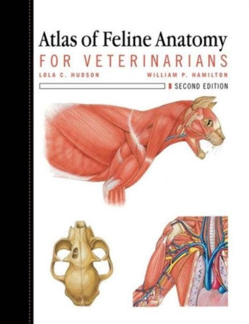 Book cover of: Atlas of Feline Anatomy For Veterinarians. By: Lola Hudson