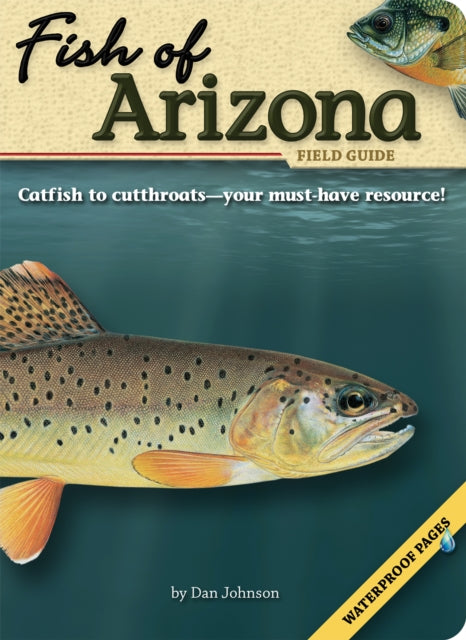 Book cover of: Fish of Arizona Field Guide. By: Johnson, Dan