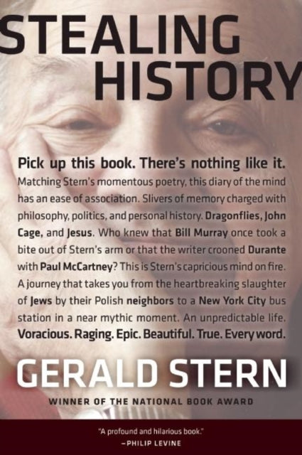 Book cover of: Stealing History. By: Gerald Stern