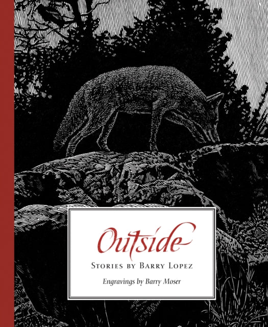 Book cover of: Outside