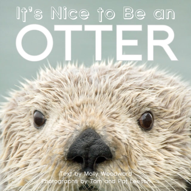 Book cover of: It's Nice to Be an Otter. By: Molly Woodward