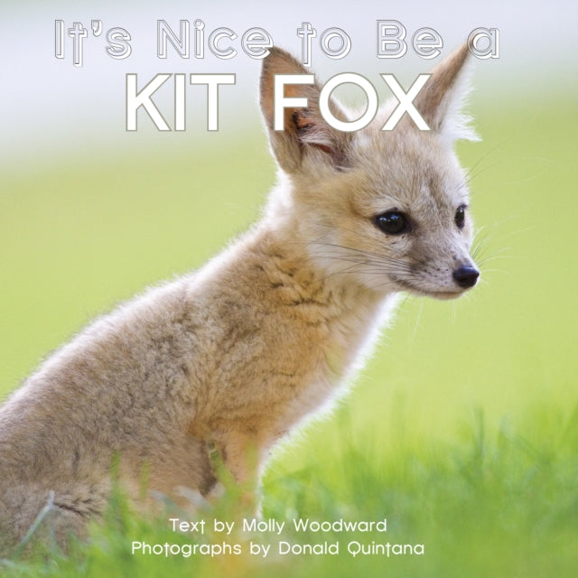 Book cover of: It's Nice to Be a Kit Fox. By: Molly Woodward