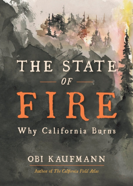 Book cover of: State of Fire. By: Obi Kaufmann