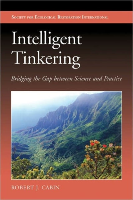 Book cover of: Intelligent Tinkering. By: Robert J. Cabin