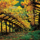 Book cover of: Hidden Napa Valley, Revised and Expanded Edition. By: Wes Walker