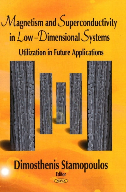 Book cover of: Magnetism & Superconductivity in Low-Dimensional Systems