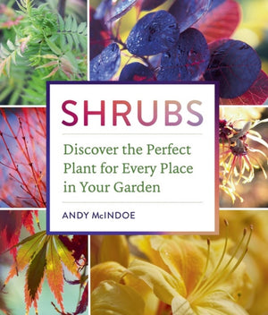 Shrubs, Discover the Perfect Plant for Every Place in Your Garden