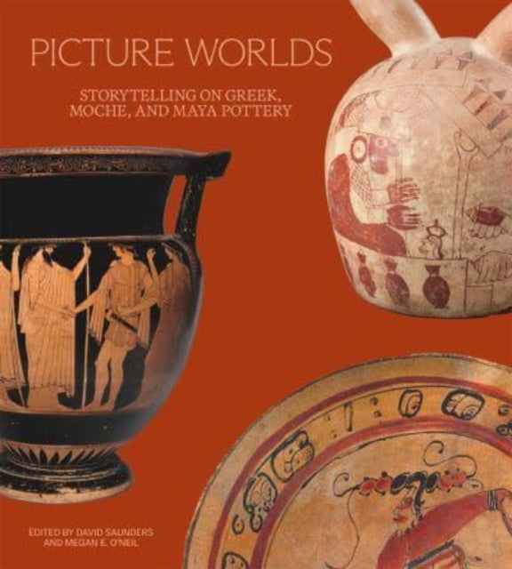 Book cover of: Picture Worlds. By: David Saunders