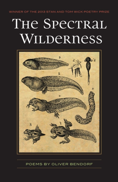 Book cover of: Spectral Wilderness. By: Oliver Bendorf