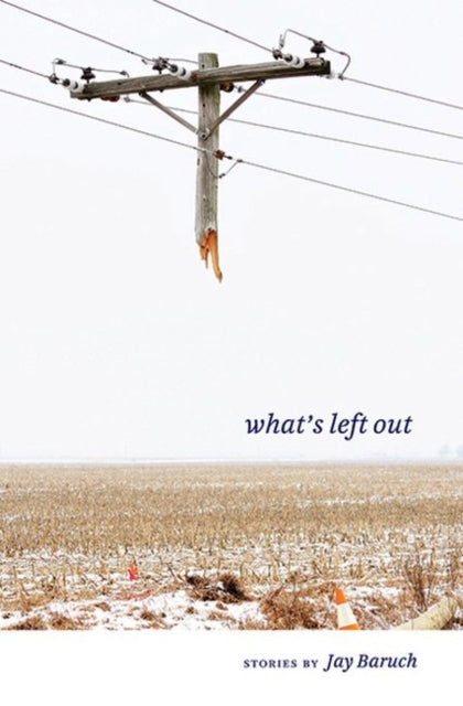 Book cover of: What's Left Out. By: Jay Baruch