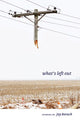 Book cover of: What's Left Out. By: Jay Baruch